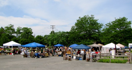 Only a Portion of the FLEA