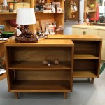 Mid-Century Bookcases & Retro TV Console Panther Lamp