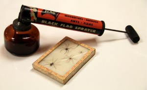 Black Flag Sprayer & Spider Specimen