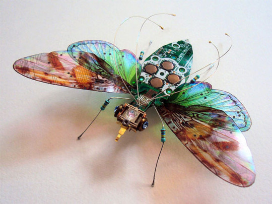 Artist-gives-old-computer-parts-renewed-purpose-by-turning-them-into-intricate-insect-sculptures10-650x487