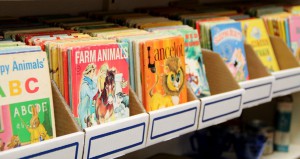 Large Selection of Children's Books