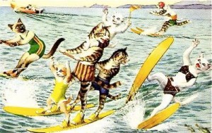 water-skiing-cats